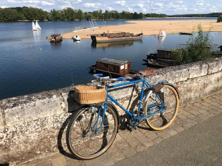 B&B Cote Loire Les Rosiers-sur-Loire Екстер'єр фото